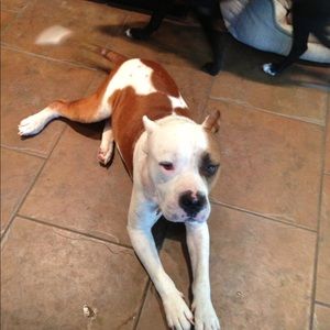 Meet your Posher, William